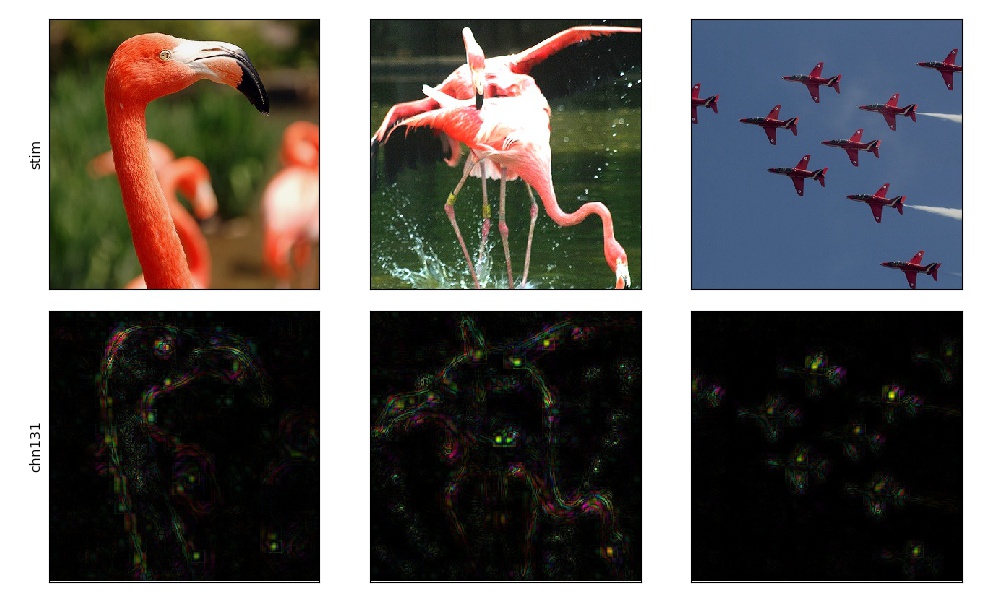 ../_images/fc3_chn131_top3_guided.jpg